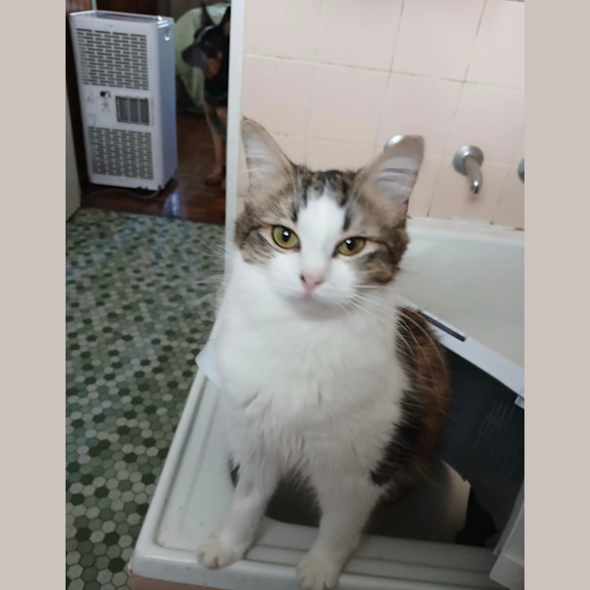 Photo of Drusilla And Spike