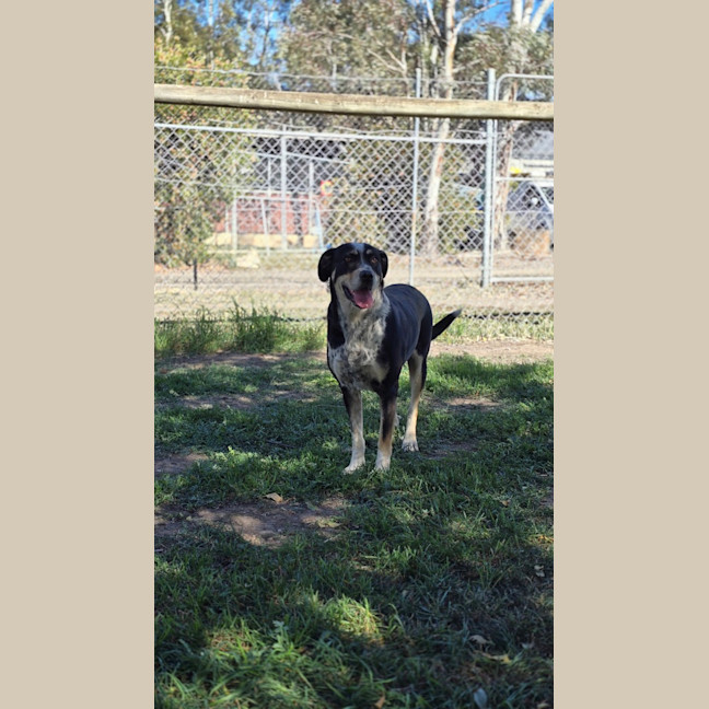 Photo of Milly