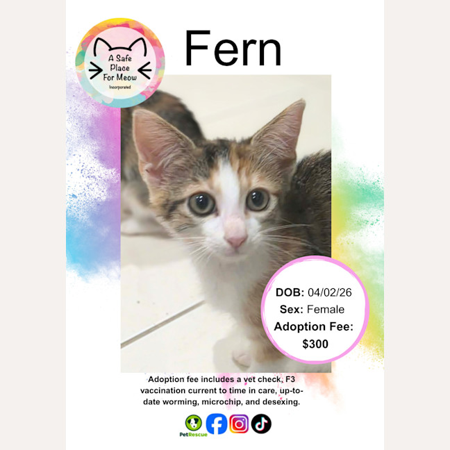 Photo of Fern