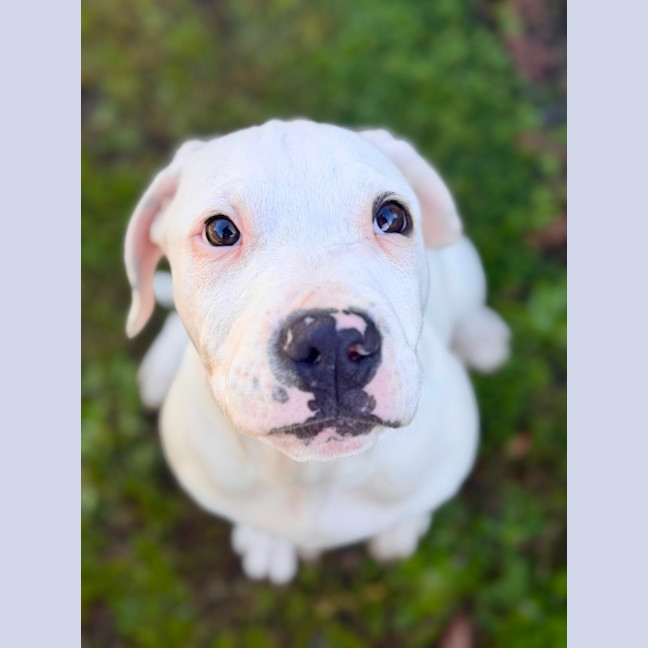 Photo of Yeti 