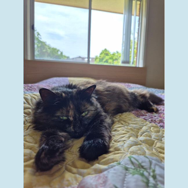 Photo of Jinx