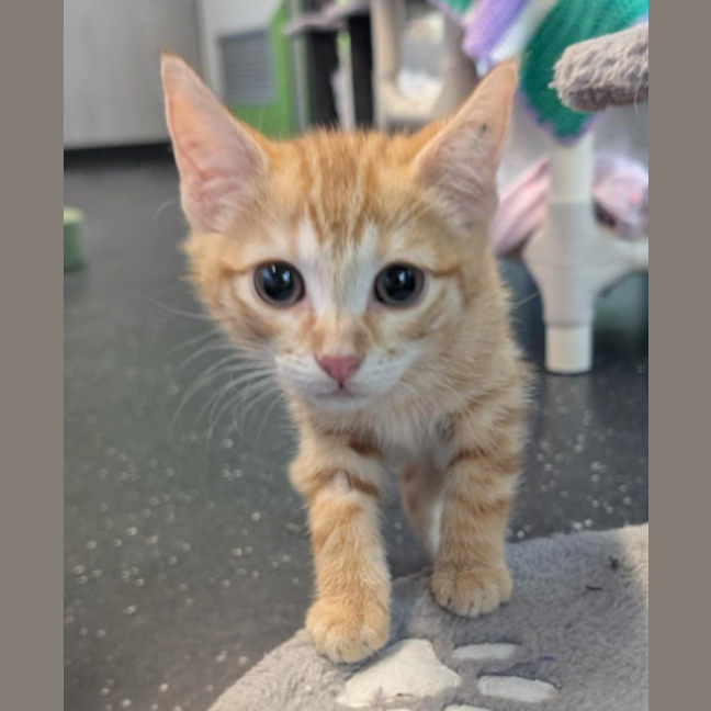 Photo of Traveller Steve