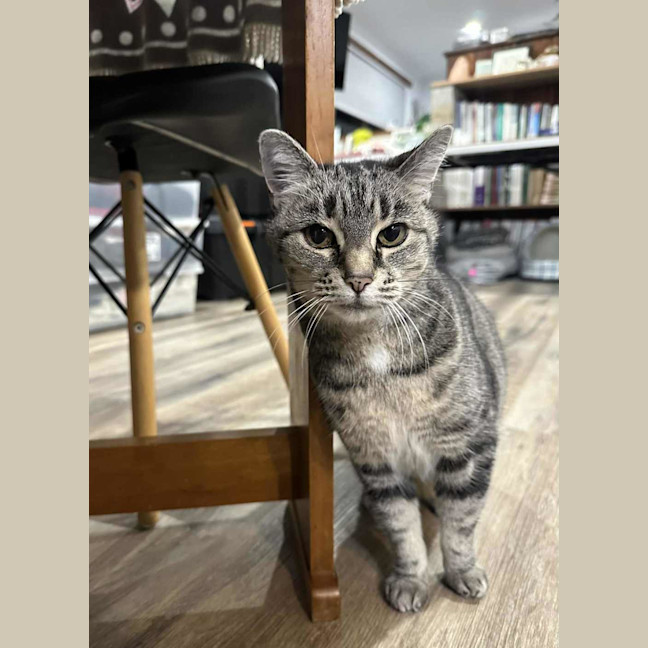 Photo of Sylvie