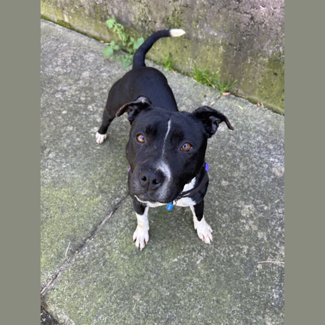Photo of Roxy