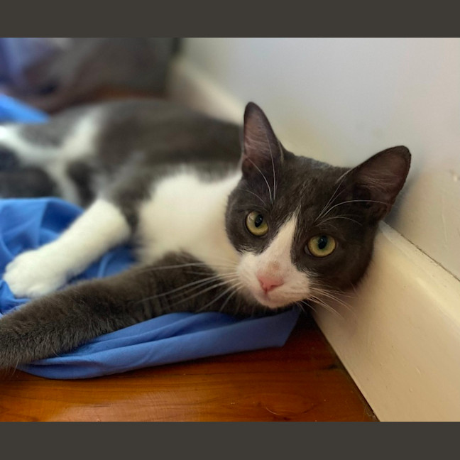 Photo of Storm (9173)