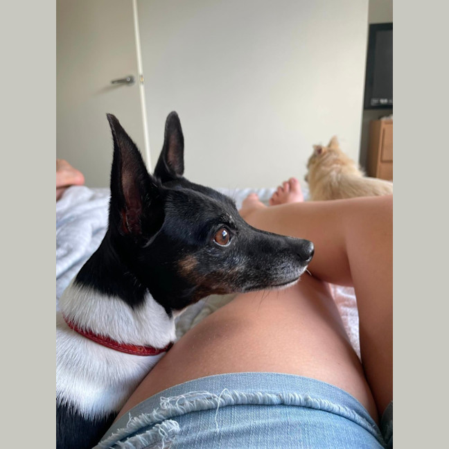 Photo of Tilly And Finn