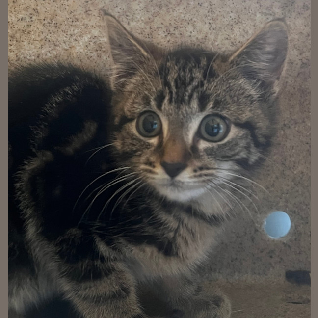 Photo of Junior