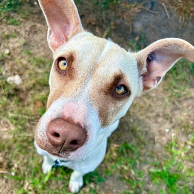 Photo of Daisey