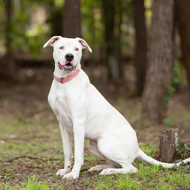 Photo of Luna