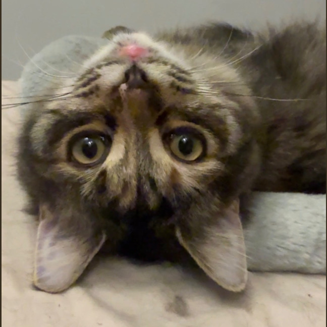 Photo of Francesca Moo