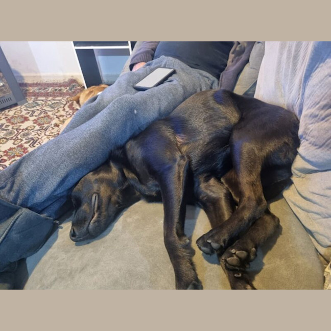 Photo of Cali
