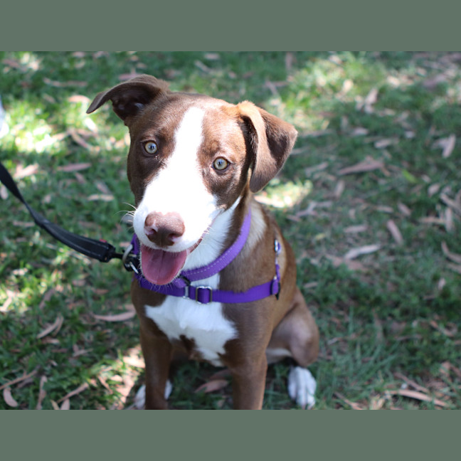 Photo of Macey