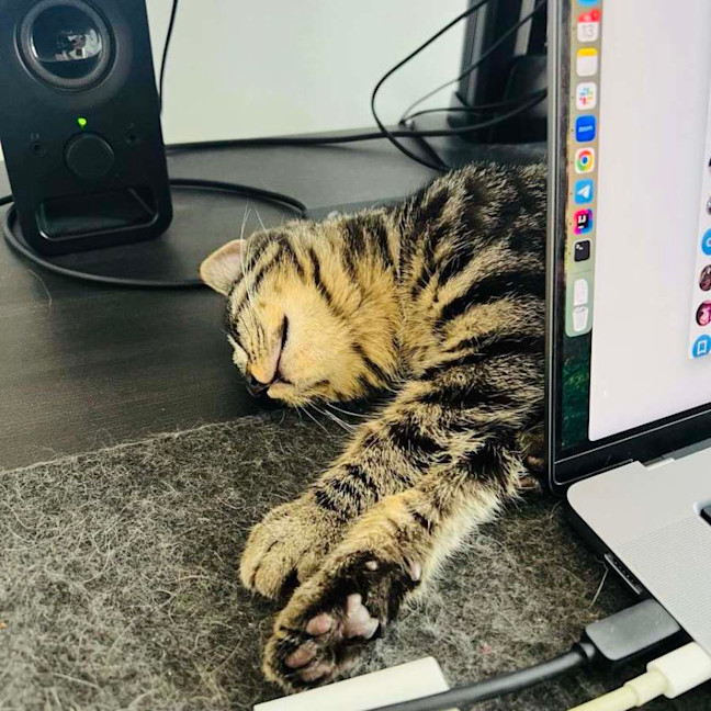 Photo of Beans   Located In Northcote