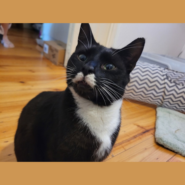 Photo of Moe