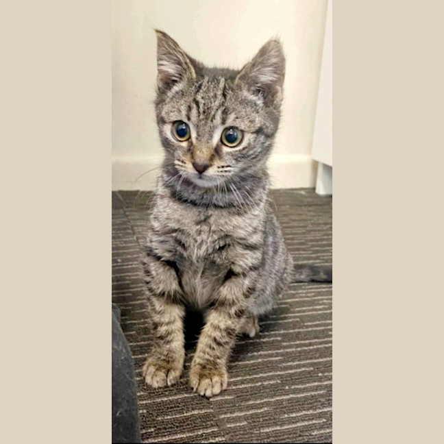 Photo of Monty