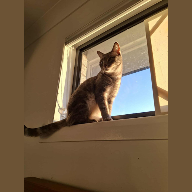 Photo of Birdie