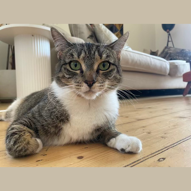 Photo of Mrs Big & Pickle