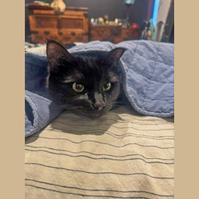 Photo of Boo