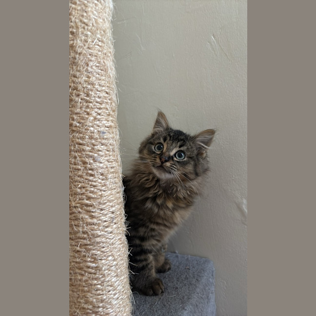 Photo of Percy