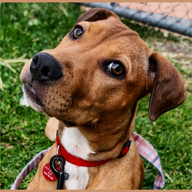 Photo of Betsy
