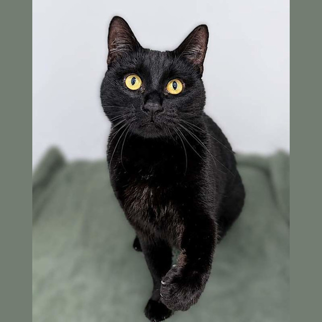 Photo of Missy