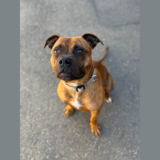 Photo of Leroy