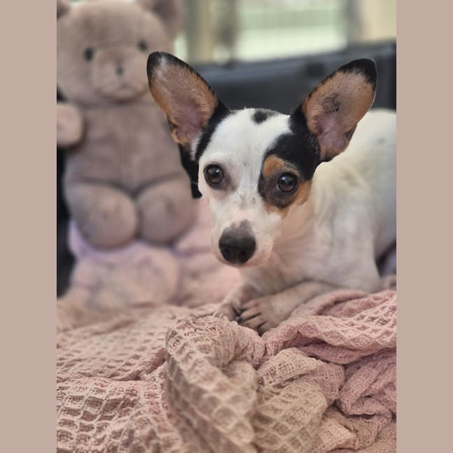 Photo of Kira