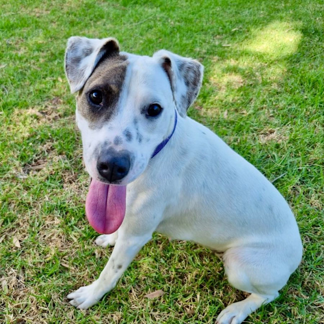 Photo of Rosie