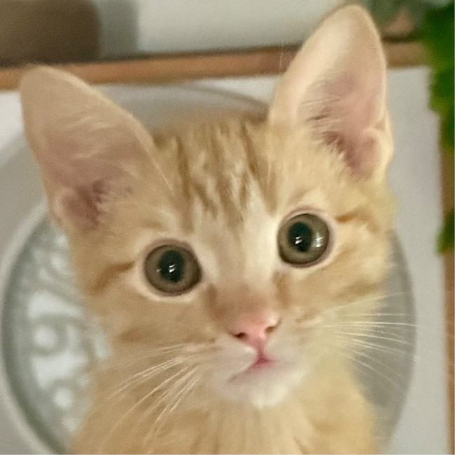 Photo of Doug