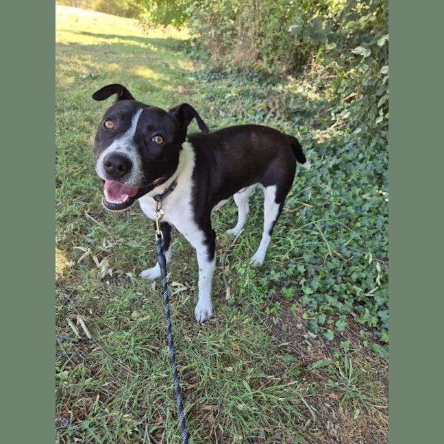 Photo of Kenny! 🤍🖤