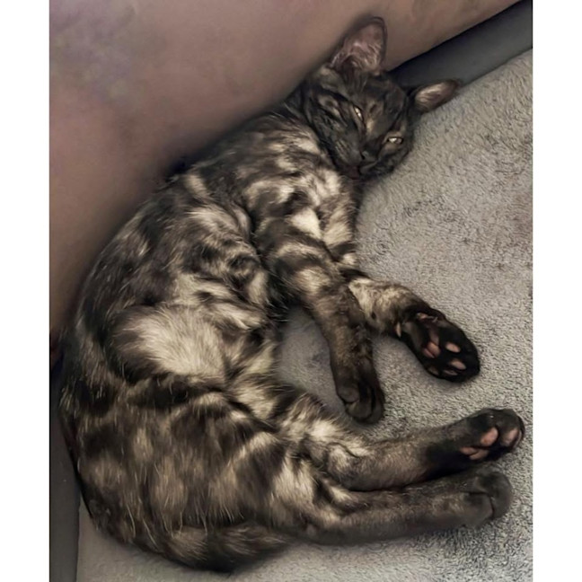 Photo of 11767   Turbo