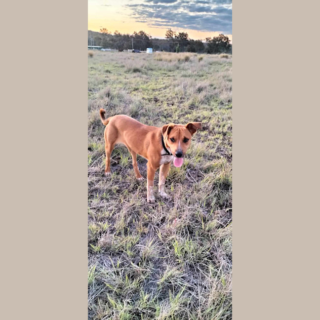 Photo of Lewis (Louie)