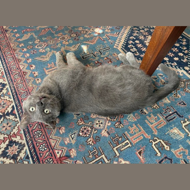 Photo of Max 