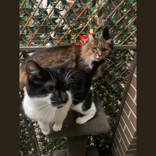 Photo of Kevin   Best Buds With Sutton   Check His Profile