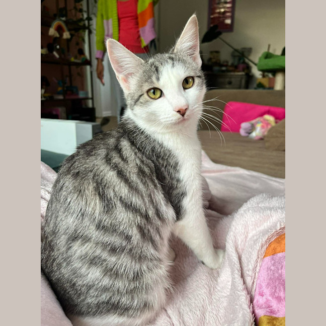 Photo of Annie