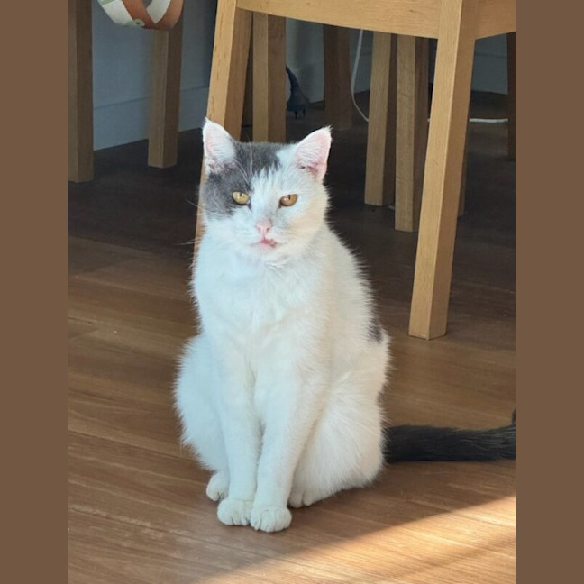 Photo of Eddie