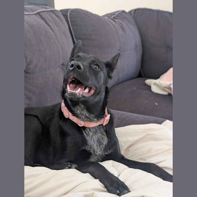 Photo of Felice (Astrid)