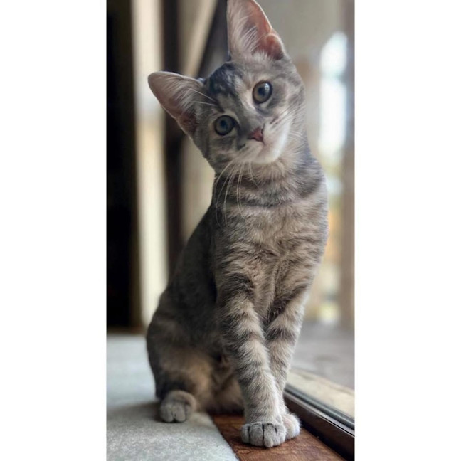 Photo of 12299   Poss