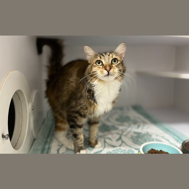 Photo of Lucy Lou
