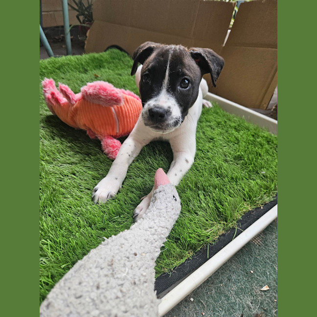 Photo of Dorothy Anne