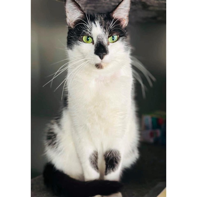 Photo of 9645   Isabella