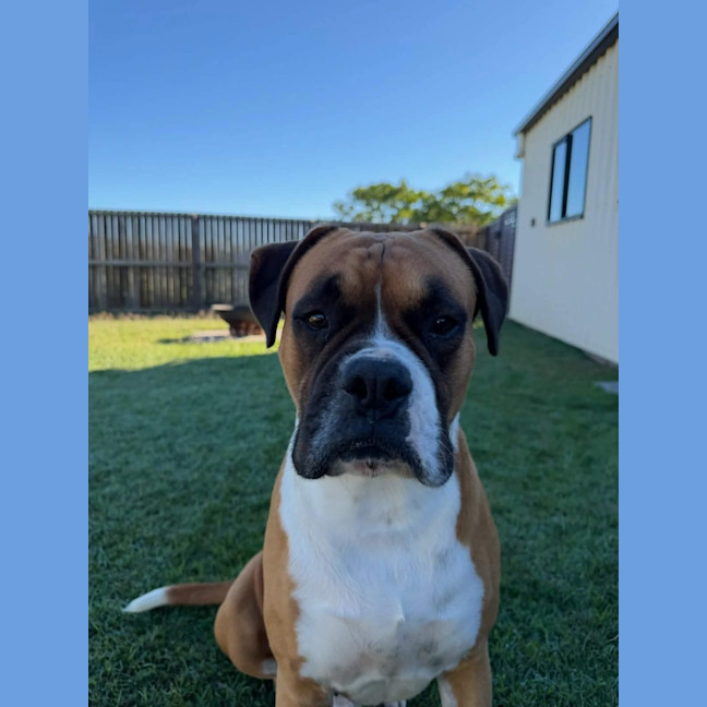 Photo of Ruben