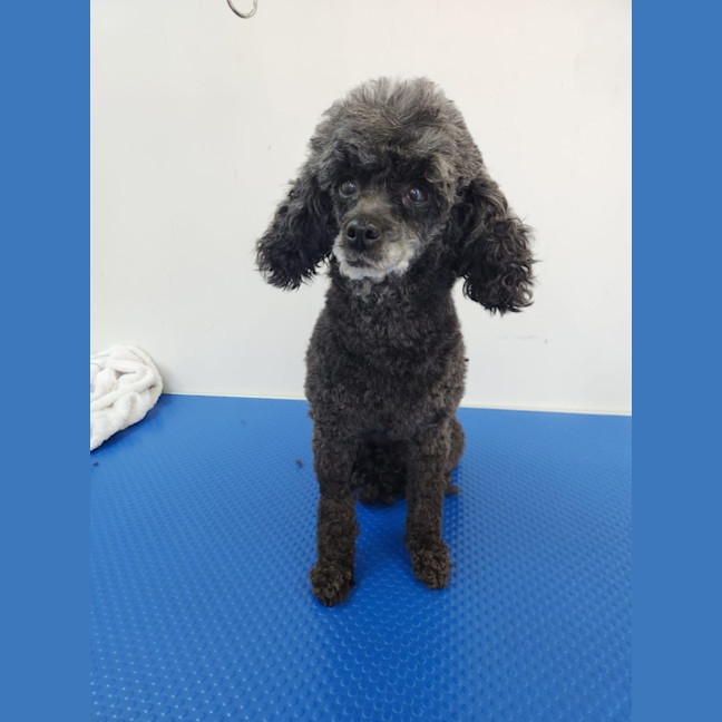 Photo of Carlos And Charlie