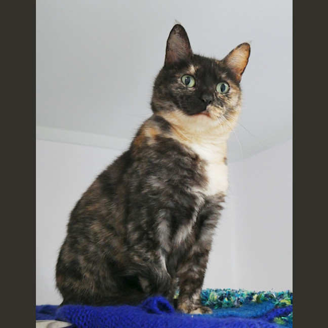 Photo of Luna Sta014215