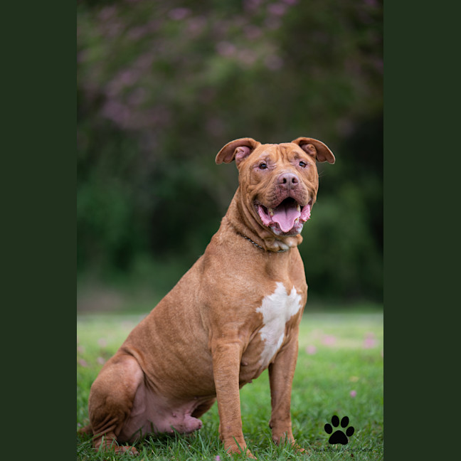 Photo of Bronx