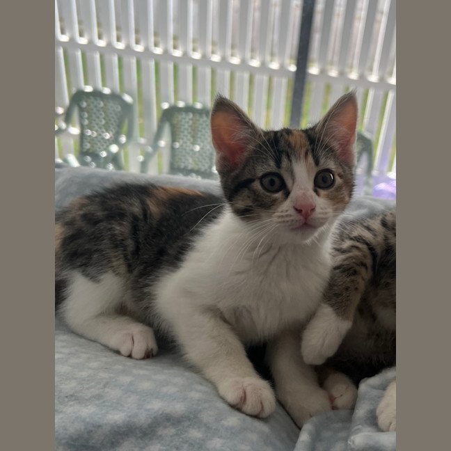Photo of Kiki   Penelope