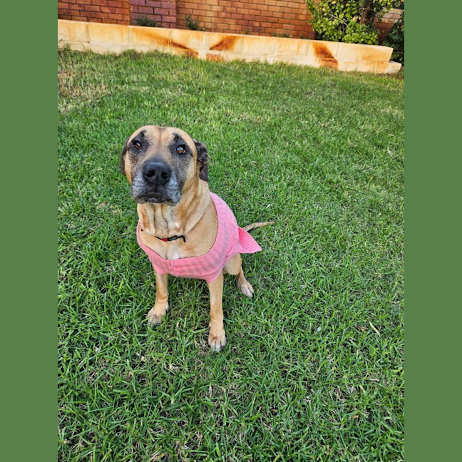Photo of Audrey