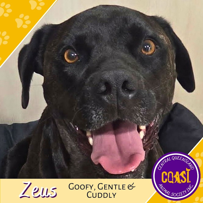 Photo of Zeus