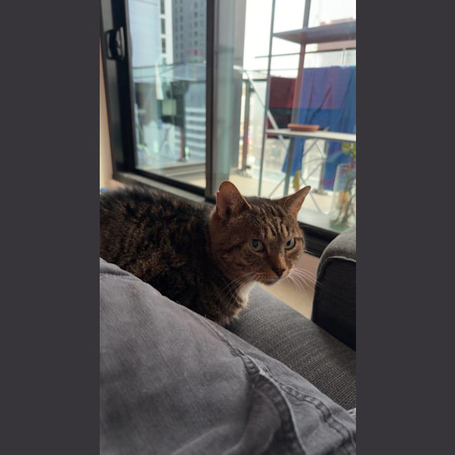 Photo of Tom