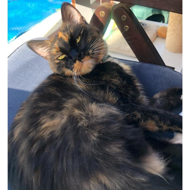 Photo of 9721   Eleanor